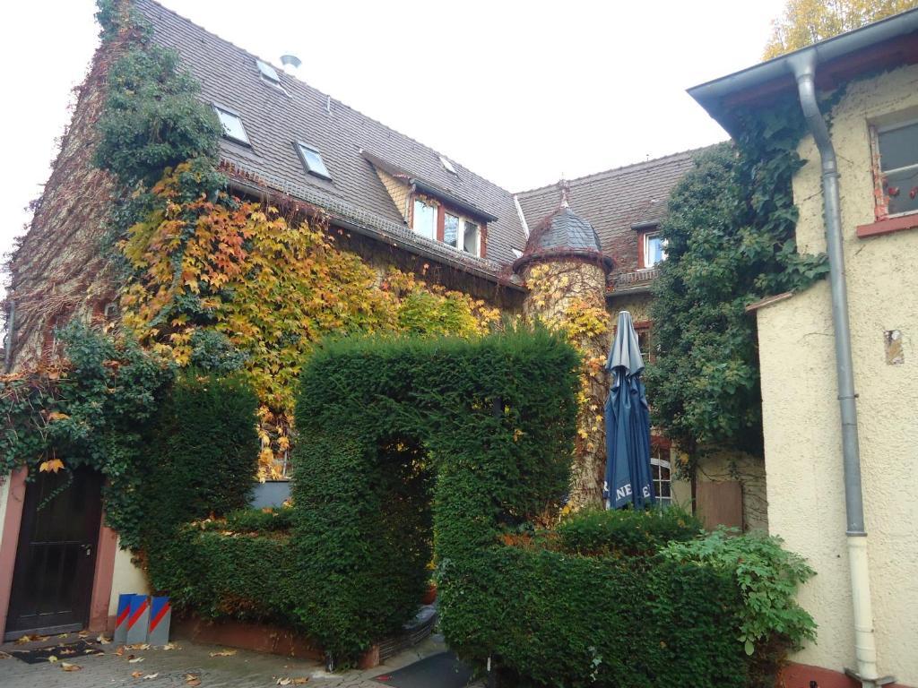 Guest house Burg-stuben Mainz